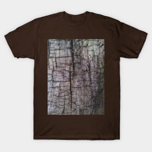 The skin of the tree - 1 T-Shirt